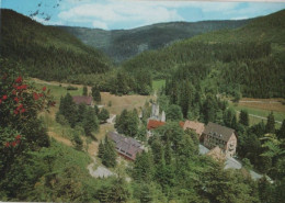 99206 - Oppenau-Allerheiligen - 1979 - Oppenau