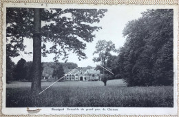 ROSSIGNOL Ensemble Du Grand Parc Du Chateau CP édit J Jacob-Monseur Postée En 1953 - Tintigny