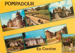 19 - Pompadour - Multivues - CPM - Voir Scans Recto-Verso - Arnac Pompadour