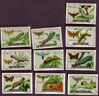 Nestlé - 75 - Chenilles Et Papillons, Caterpillars And Butterflies - Serie (no 1 & 2 Missing) - Nestlé