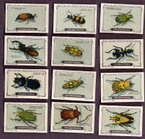 Nestlé - 76 - Coléoptères, Coleoptera, Beetles - Full Serie - Nestlé