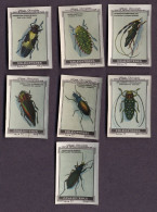 Nestlé - 77 - Coléoptères, Coleoptera, Beetles - Part Of Serie - Nestlé