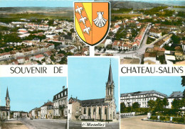 57 SOUVENIR DE CHÂTEAU SALINS - Chateau Salins