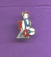 Rare Pins Federation Francaise De Billard Ffb Coq Bbr Egf Q192 - Billares