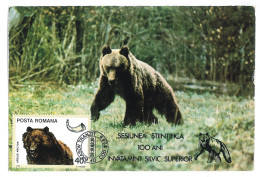 MAX 56 - 601 BEAR, Romania - Maximum Card - 1983 - Bears