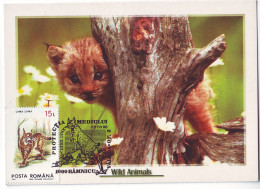 MAX 56 - 224 LYNX, Romania - Maximum Card - 1998 - Félins