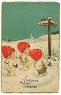 RO 58 - 5232 MUSHROOMS, Romania, CHAMPIGNONS - Old Postcard - Used - 1928 - Hongos