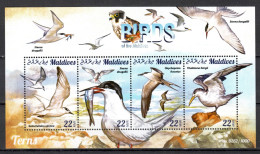 Maldives 2015 Maldivas / Birds  MNH Vögel Aves Uccelli Oiseaux / Cu22314  8-1 - Other & Unclassified