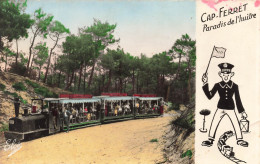 FRANCE - Cap Ferret - Paradis De L'huitre - Bassin D'Arcachon - Le Petit Train De L'océan - Carte Postale Ancienne - Arcachon