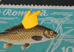 Stamps Errors Romania 1960, MI# 1927, FISHES, Crap Printed With Full Circle, Dot, Next To The Letter "ă" Used Stamp - Errors, Freaks & Oddities (EFO)