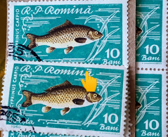 Error Romania 1960, MI# 1927, FISHES, Crap Printed With Full Circle, Dot, Next To The Letter "ă" Used Stamp - Variedades Y Curiosidades