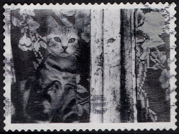 GREAT BRITAIN 2001 QEII 1st Black & Grey, Cats & Dogs-Cat Behind Curtain SG2193 Used - Gebraucht
