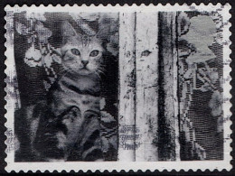 GREAT BRITAIN 2001 QEII 1st Black & Grey, Cats & Dogs-Cat Behind Curtain SG2193 Used - Used Stamps