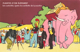 Métier Photographe * CPA Publicitaire Illustrateur * Plantes D'or éléphant * Appareil Photo * Pub Thé Marseille - Fotografia