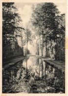 BELGIQUE - Belœil - Château De Belœil - Les Miroirs - Carte Postale - Belöil