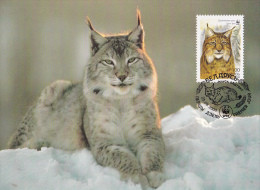 WWF - 280,32 - € 1,56 - D' CM-MC - 25-8-2000 - 100k - Eurasian Lynx - Belarus 1277212 - Autres & Non Classés