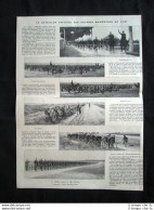 Il Battaglione Ciclisti Alle Grandi Manovre Dell'Est Stampa Del 1905 - Altri & Non Classificati