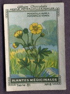 Nestlé - 86 - Plantes Médicinales, Medicinal Plants - 6 - Potentilla Aurea, Potentille Dorée - Nestlé