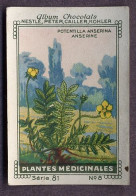 Nestlé - 81 - Plantes Médicinales, Medicinal Plants - 8 - Potentilla Anserina, Silverweed, Potentille Des Oies - Nestlé