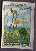 Nestlé - 81 - Plantes Médicinales, Medicinal Plants - 9 - Tussilago Farfara, Coltsfoot, Tussilage - Nestlé