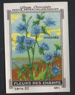 Nestlé - 82 - Fleur De Champs, Field Flowers - 1 - Chicorée - Nestlé