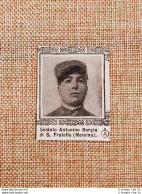 Decorato Medaglia Di Argento Antonino Borgia Di San Fratello Guerra Mondiale WW1 - Altri & Non Classificati
