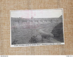 In Sassonia 1913 Ciclopico Muro Costruito Da Italiani A Sbarramento Di Una Valle - Altri & Non Classificati