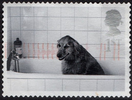 GREAT BRITAIN 2001 QEII 1st Black & Grey, Cats & Dogs-Dog In Bath SG2188 Used - Usati