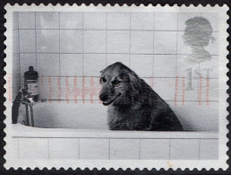 GREAT BRITAIN 2001 QEII 1st Black & Grey, Cats & Dogs-Dog In Bath SG2188 Used - Gebruikt