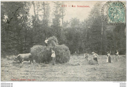 LA FENAISON EN  AVEYRON - Cultures