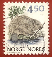 Norway - Animals (Fauna) | Beavers | Mammals | Rodents - 1990 - Nager