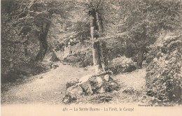 FRANCE - La Sainte Baume - La Forêt - Le Canapé - Vue Sur Une Allée En Plein Forêt - Carte Postale Ancienne - Saint-Maximin-la-Sainte-Baume