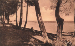 FRANCE - Cazaux (Gironde) - Vue Sur Le Bord Du Lac M D - Vue Sur La Mer - Barque - Carte Postale Ancienne - Arcachon