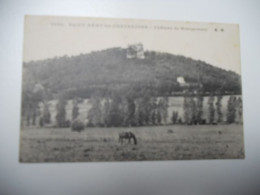 DEP 78 YVELINES CARTE ANCIENNE EN N/BL Saint-Rémy-les-Chevreuses  Château De Montgomery PATURE (un CHEVAL)  N°2065 EDIT - St.-Rémy-lès-Chevreuse