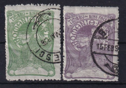 ROMANIA 1906 - Canceled - Sc# B2, B4 - Used Stamps
