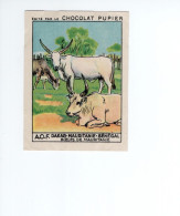 Chromo Afrique Africa AOF Dakar Mauritanie Sénégal Bœufs Colonies Françaises PUPIER 1930s TB - Otros & Sin Clasificación