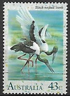 AUSTRALIE   -  1991 .  Oiseau  échassier - Storks & Long-legged Wading Birds