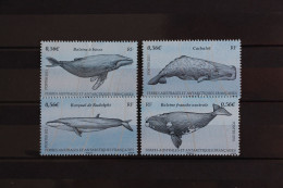 TAAF - Les 4 Timbres N° 587-590 Du BF " Baleine-Cachalot-Rorqual....... " - NEUF** - Unused Stamps