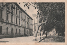 Cartolina - Postcard /   Viaggiata /  Avellino - Scuola Magistrale, Viale Regina Margherita - Avellino