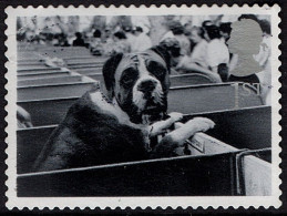 GREAT BRITAIN 2001 QEII 1st Black & Grey, Cats & Dogs-St Bernard In Show Box SG2189 Used - Oblitérés