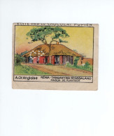 Chromo Afrique Africa Af Or Anglaise Kénia Maison De Planteur   PUPIER 1930s Bien - Other & Unclassified