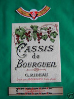 Etiquette Cassis De Bourgueil Des Années 1920 / 30 - Sonstige & Ohne Zuordnung