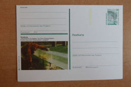 Postal Stationery, Monkey, Orang-utan - Mono