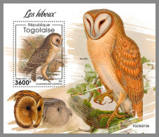 TOGO 2023 MNH Owls Eulen Hiboux S/S – OFFICIAL ISSUE – DHQ2414 - Uilen