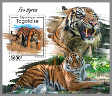 TOGO 2023 MNH Tigers Tiger Tigres S/S – OFFICIAL ISSUE – DHQ2414 - Félins