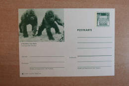 Postal Stationery, Monkey - Scimmie