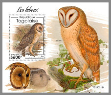 TOGO 2023 MNH Owls Eulen Hiboux S/S – IMPERFORATED – DHQ2414 - Gufi E Civette
