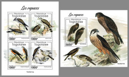 TOGO 2023 MNH Birds Of Prey Greifvögel Rapaces M/S+S/S – IMPERFORATED – DHQ2414 - Águilas & Aves De Presa