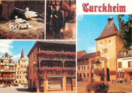 68 Turckheim Place De L'hôtel De Ville Eglise De Ste Anne Maison Schiele Veilleur De Nuit  Porte De France N° 52 \MM5011 - Turckheim
