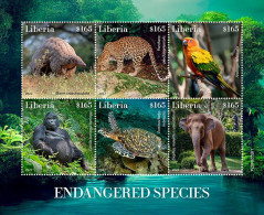 Liberia 2022, Animals In Dangered, Leopard, Parrot, Gorilla, Turtle, Elephant, 6val In BF - Liberia